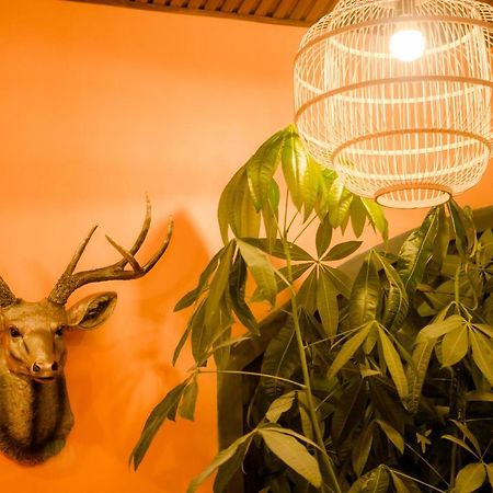 Steed Hotel Đà Lạt Ngoại thất bức ảnh