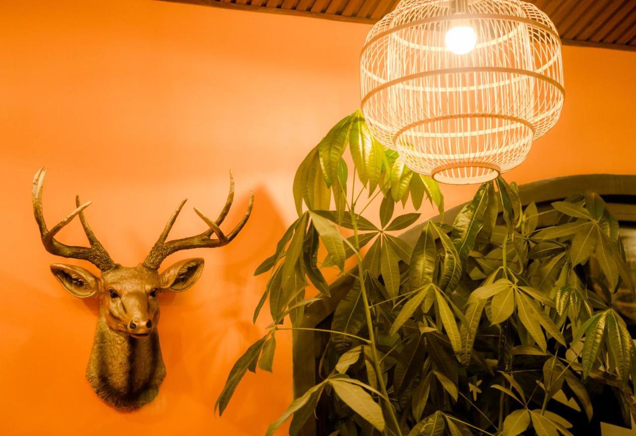 Steed Hotel Đà Lạt Ngoại thất bức ảnh